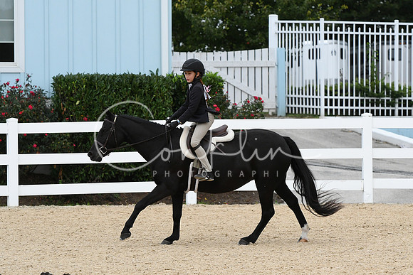 HSM_5495