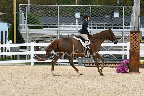 HSM_5522