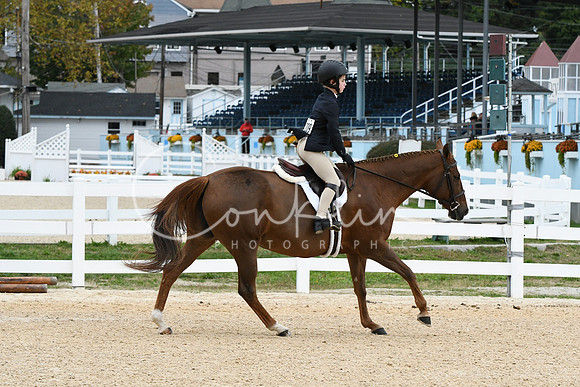 HSM_5537