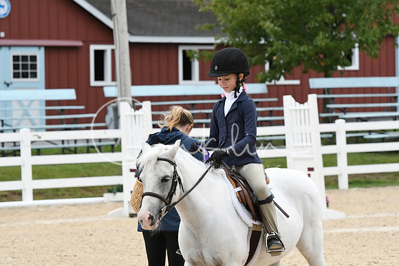 HSM_5558