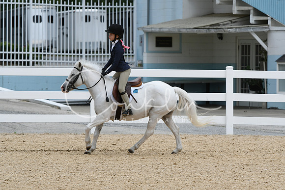 HSM_5909