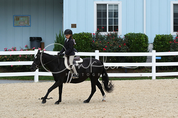 HSM_5921