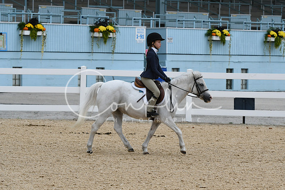 HSM_5937