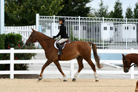 HSM_6012