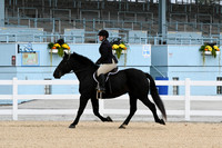 HSM_6024
