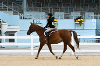 HSM_6145