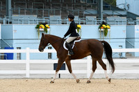 HSM_6146