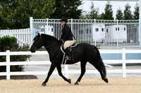 HSM_6151