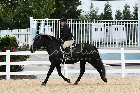 HSM_6151