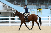 HSM_6153