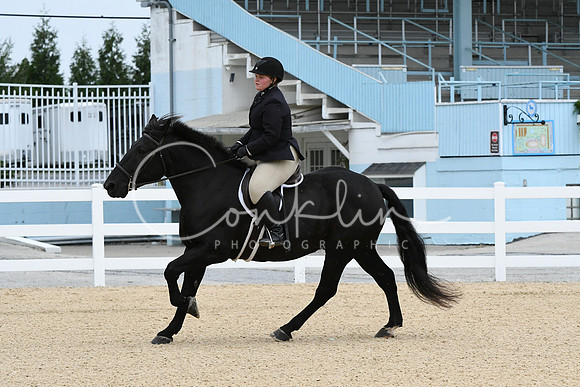 HSM_6173