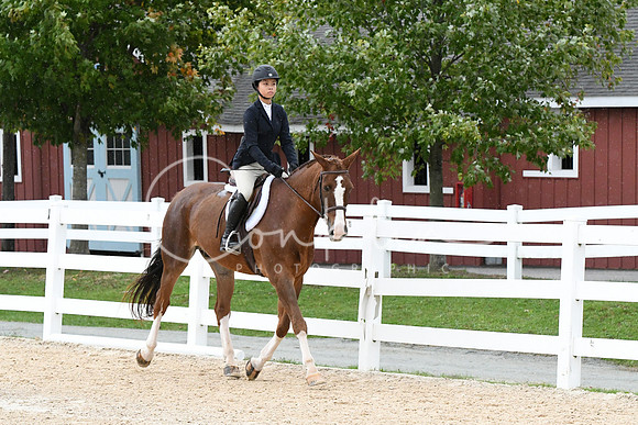 HSM_6196