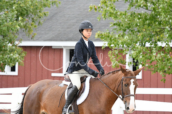 HSM_6197