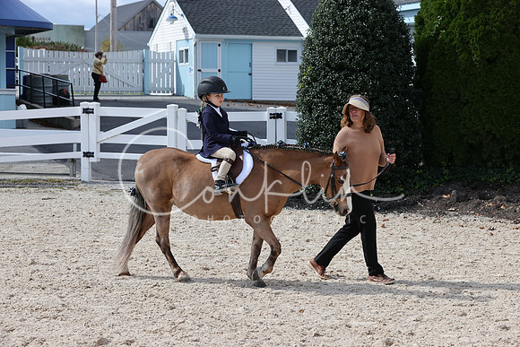 RJC36971