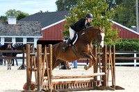 HSM_8452