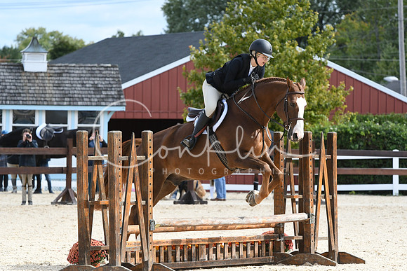 HSM_8452