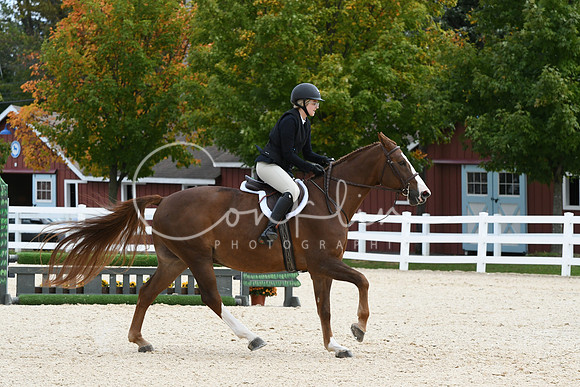 HSM_8528
