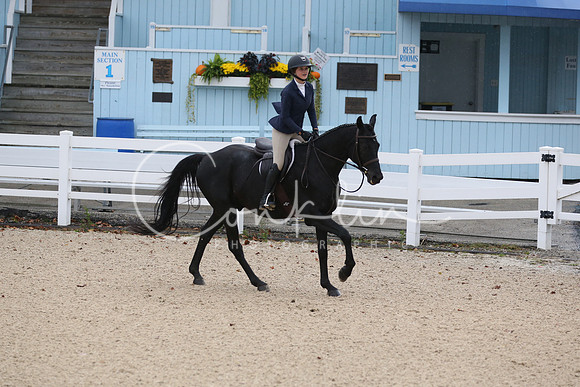 RJCX7194