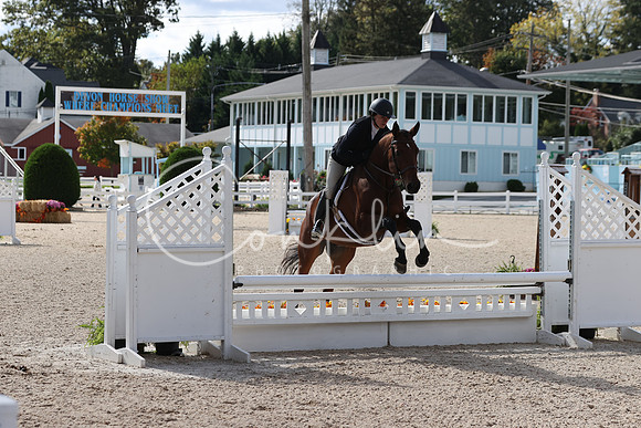 RJC36038