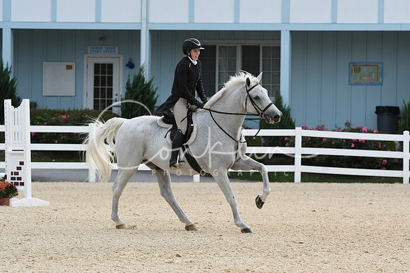 HSM_9191