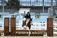 HSM_9294