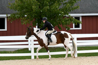 HSM_9297