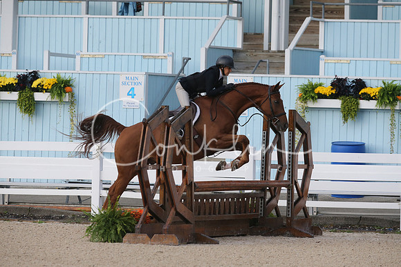 AQ2Q4913
