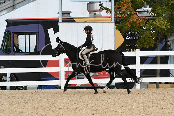 HSM_5273