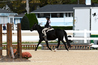 HSM_5275