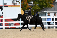 HSM_5281