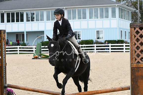 HSM_5336