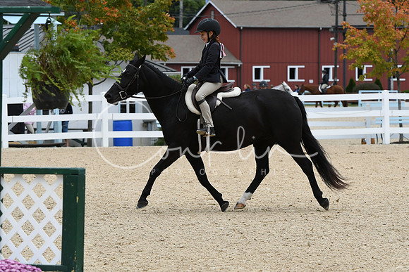 HSM_5682