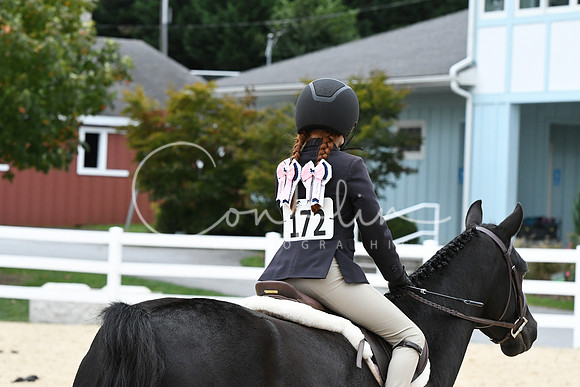 HSM_5825