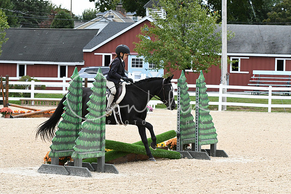 HSM_5829