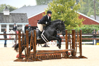 HSM_6341