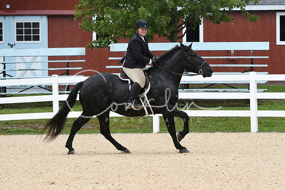 HSM_6343