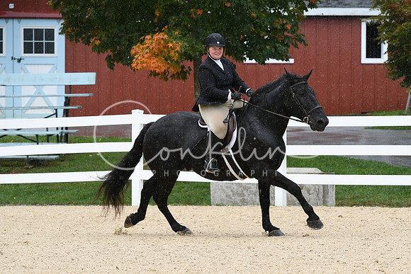 HSM_6346