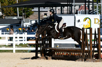 HSM_7639