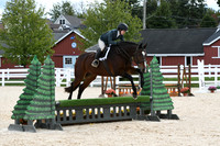 HSM_8204