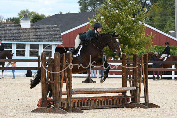 HSM_8195