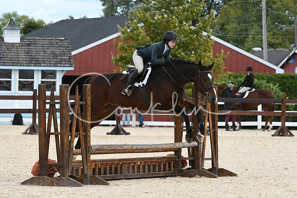 HSM_8196
