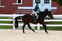 HSM_8197