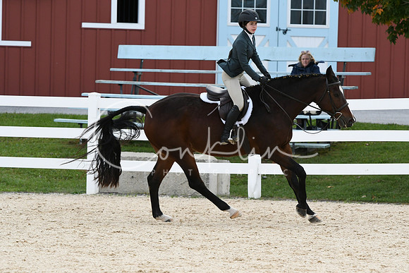 HSM_8197