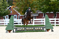 HSM_8201