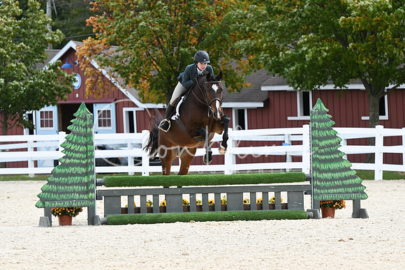 HSM_8201