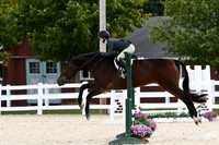 HSM_8266
