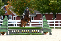 HSM_8268