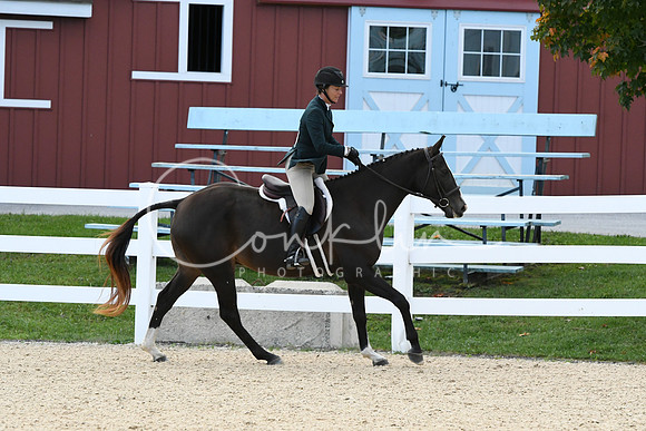 HSM_7251
