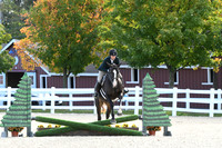 HSM_7306
