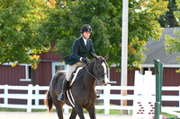 HSM_7307